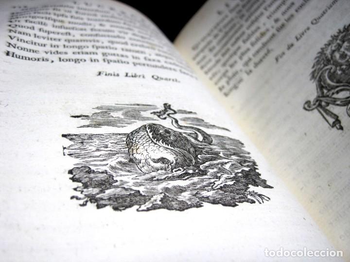 Libros antiguos: Año 1768 Primera edición de lujo De rerum natura Lucrecio Antigua Roma Grand Papier Grabados 2V - Foto 28 - 285297948