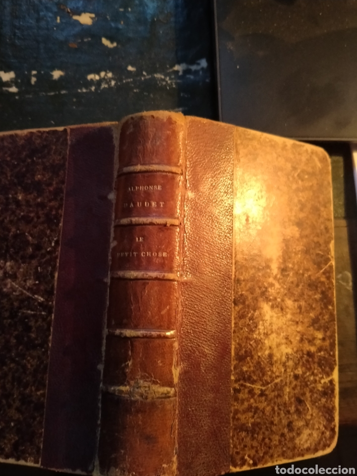 Libros antiguos: Alphonse Daudet - Le petit chose . Alphonse Lemerre editeur - Foto 1
