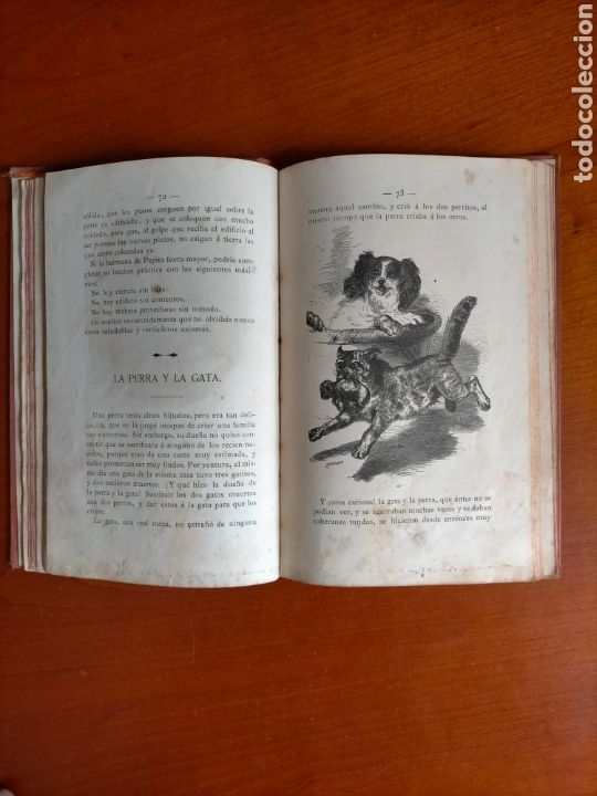 Libros antiguos: UN RAMO DE VIOLETAS 1882 CARLOS FRONTAURA - Foto 4