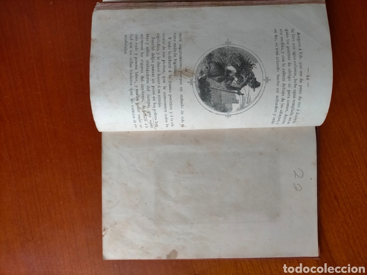 Libros antiguos: UN RAMO DE VIOLETAS 1882 CARLOS FRONTAURA - Foto 11