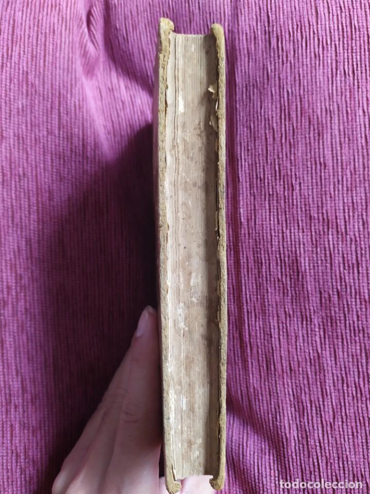 Libros antiguos: 1891. Menina e mo&ccedil;a. Bernaldim Ribeiro. - Foto 15