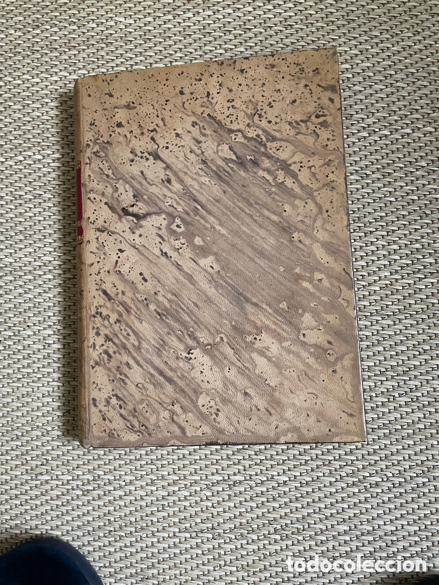 Libros antiguos: PEREDA &ldquo;TIPOS TRASHUMANTES&rdquo; - Foto 2