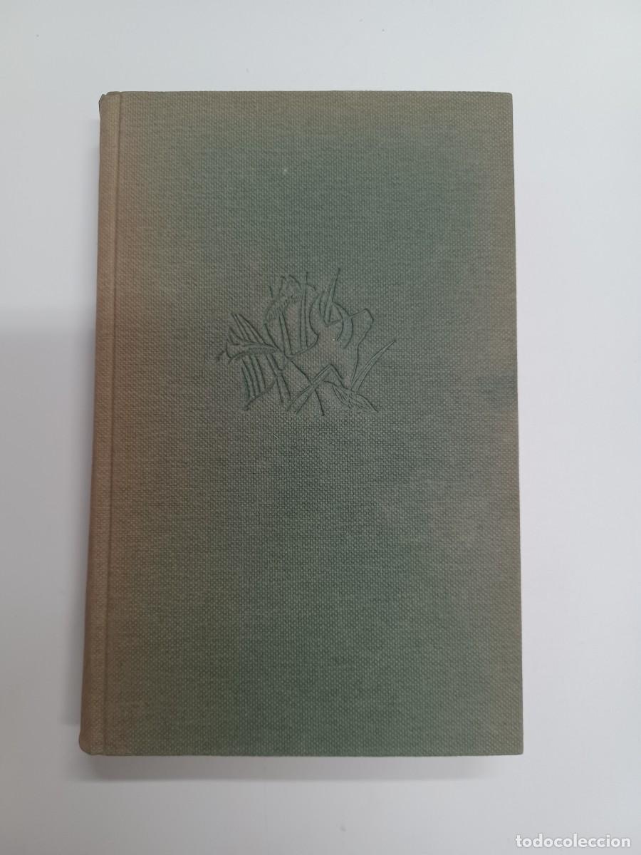 Libros antiguos: FRAY LUIS DE LE&Oacute;N. CANTAR DE CANTARES - Foto 2