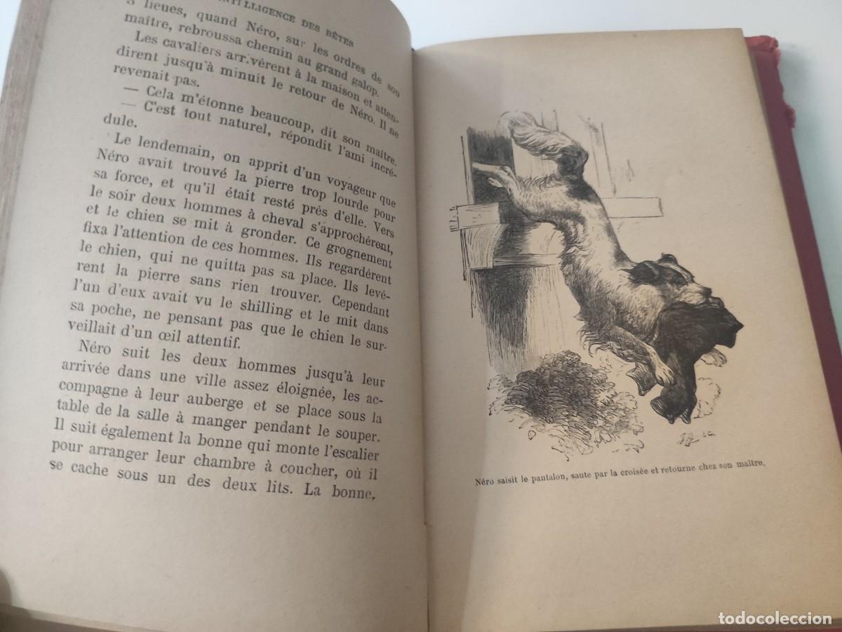 Libros antiguos: Lintelligence des Betes. - Foto 6