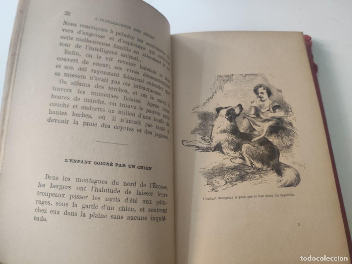Libros antiguos: Lintelligence des Betes. - Foto 7