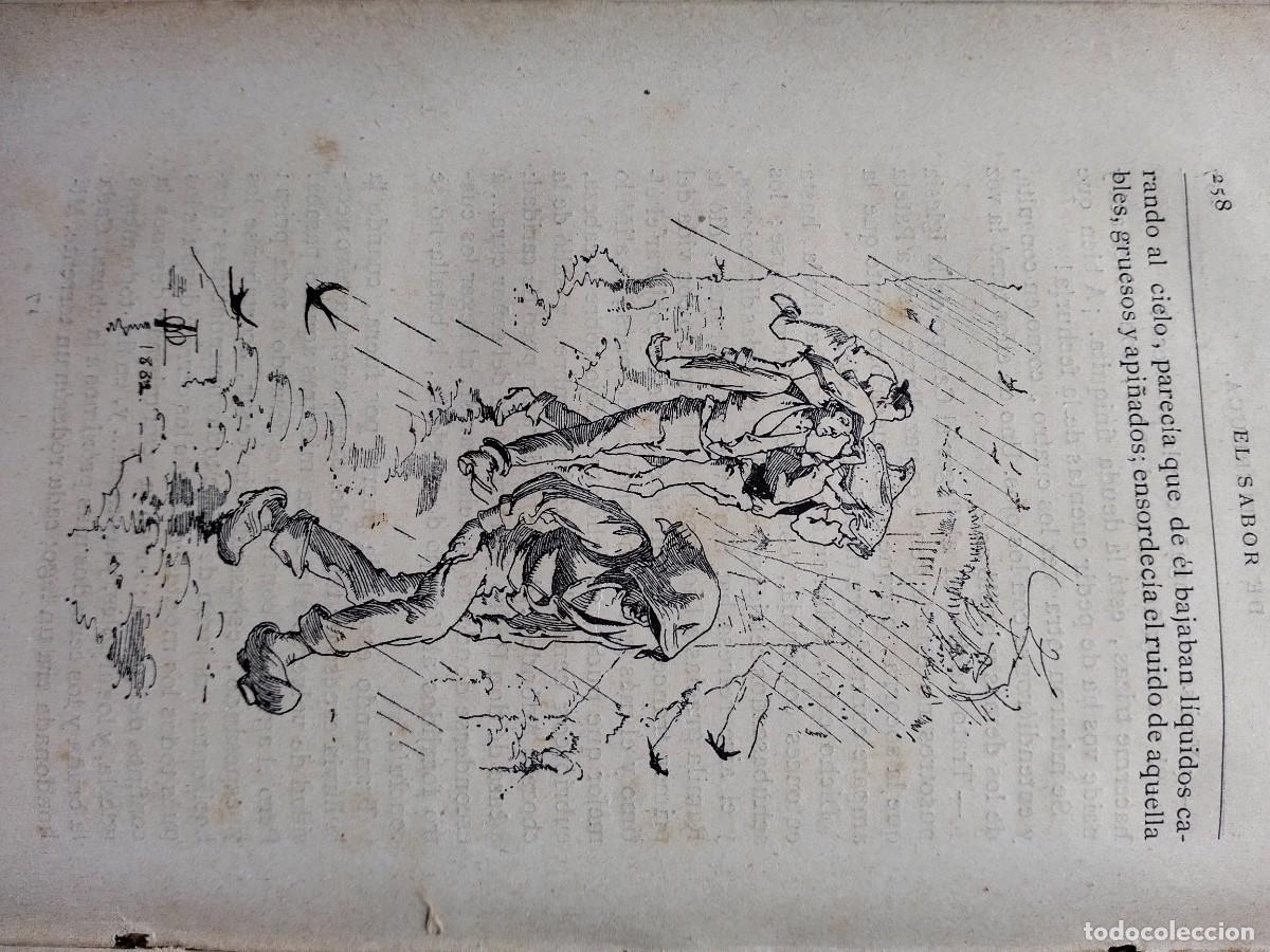 Libros antiguos: El sabor de la tierruca Pereda 1882 - Foto 7