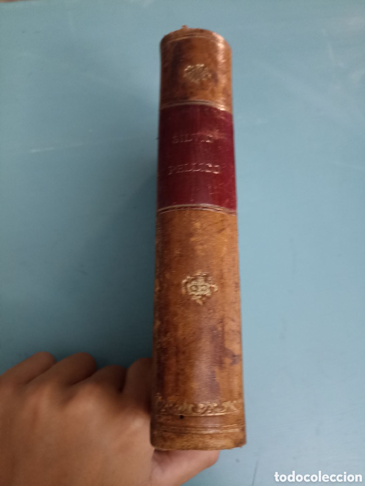 Libros antiguos: Mes Prisons. Silvio Pellico. Paris 1869 - Foto 7