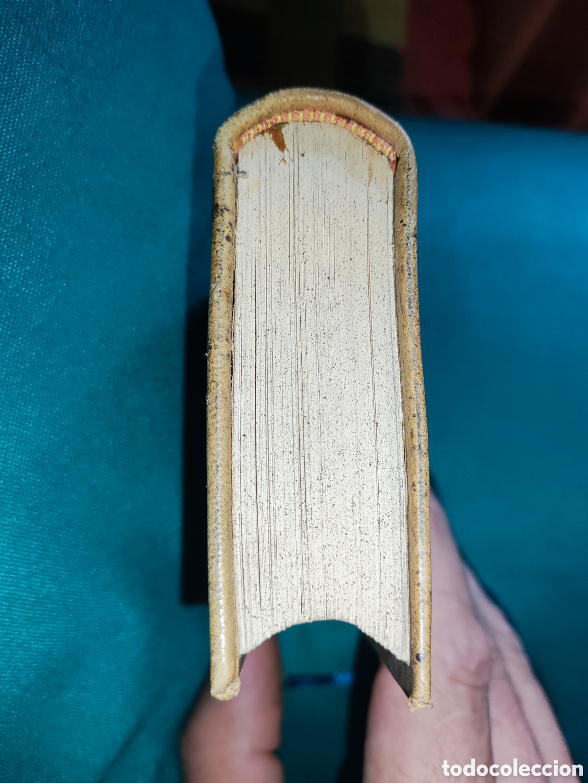 Libros antiguos: CERVANTES, MIGUEL DE. &rdquo;LOS SEIS LIBROS DE LA GALATEA&rdquo; 1883. - Foto 6