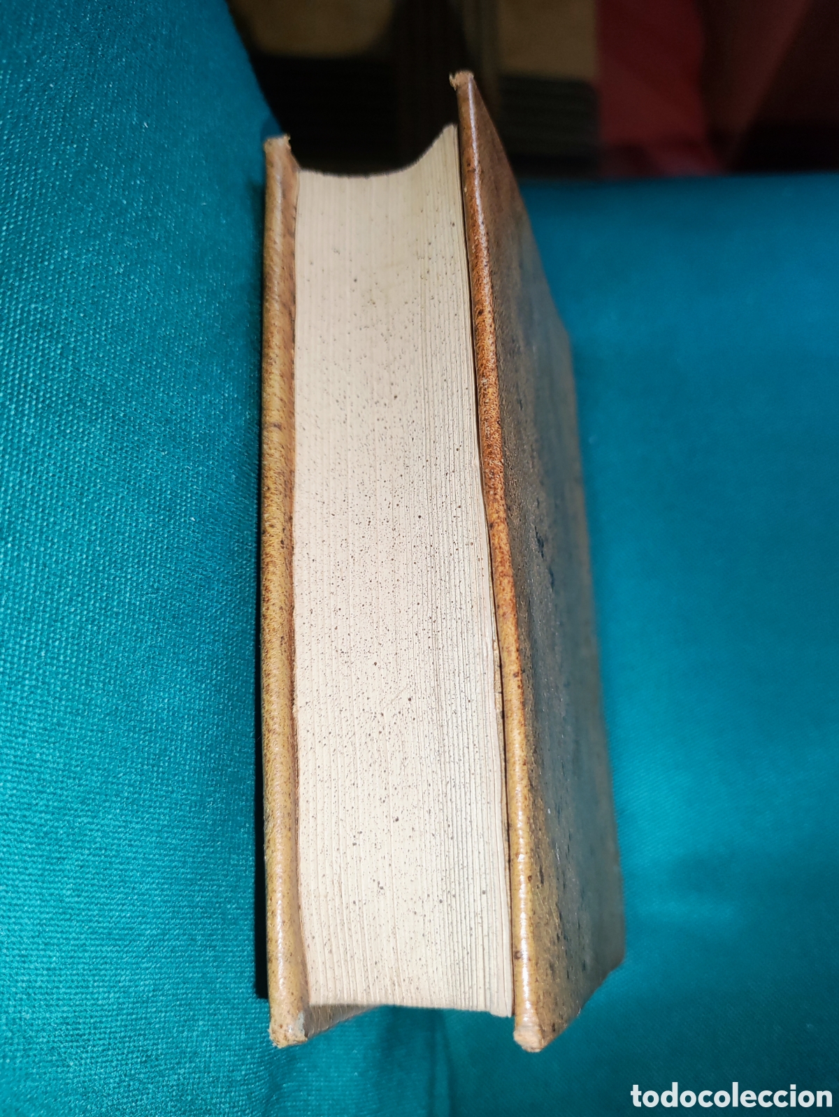 Libros antiguos: CERVANTES, MIGUEL DE. &rdquo;LOS SEIS LIBROS DE LA GALATEA&rdquo; 1883. - Foto 7