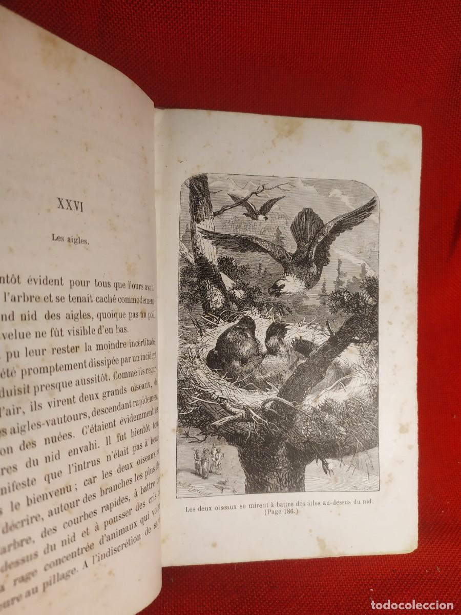 Libros antiguos: 1865. Obras de Mayne Reid. Grabados. - Foto 7