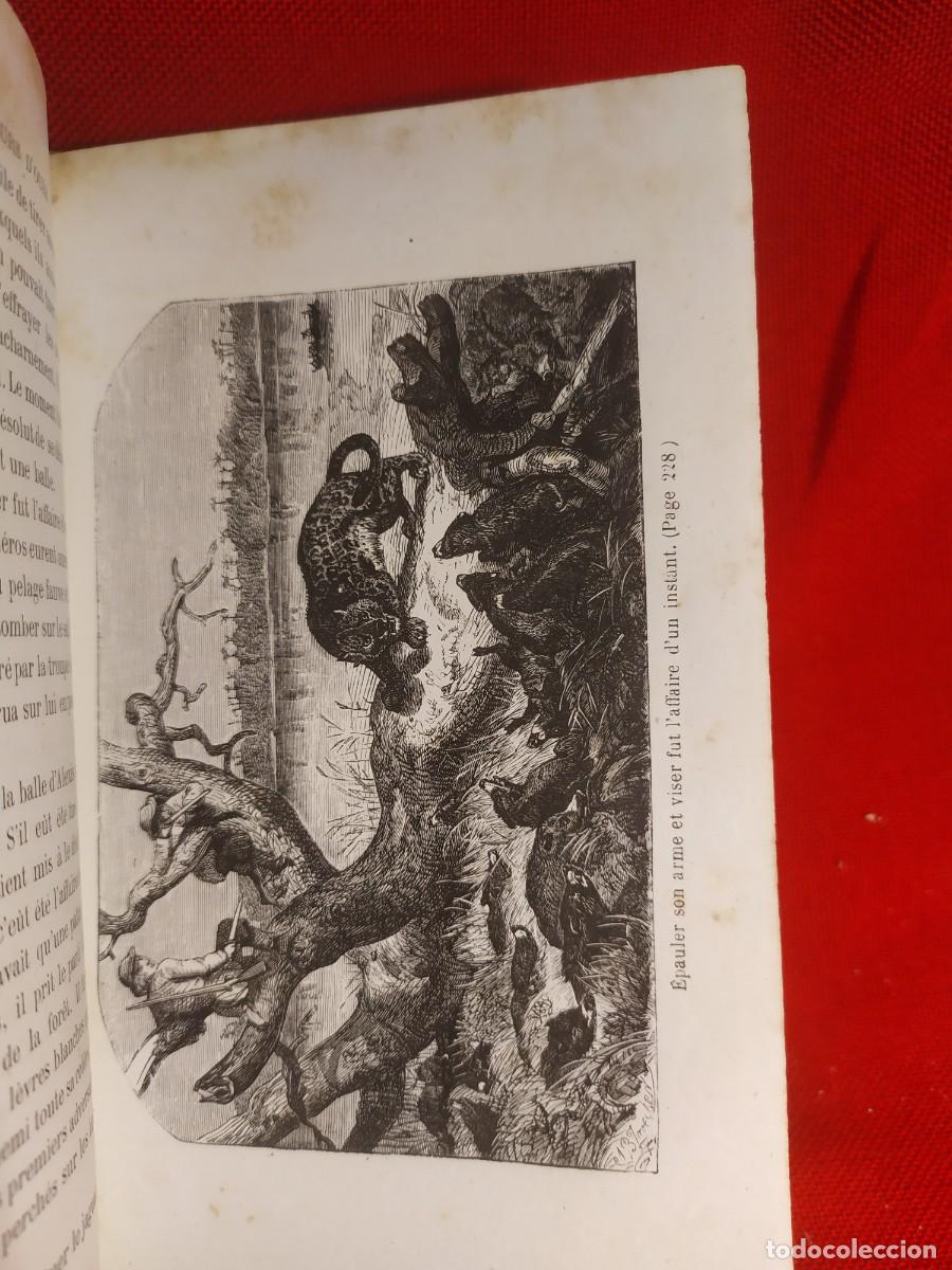 Libros antiguos: 1865. Obras de Mayne Reid. Grabados. - Foto 8