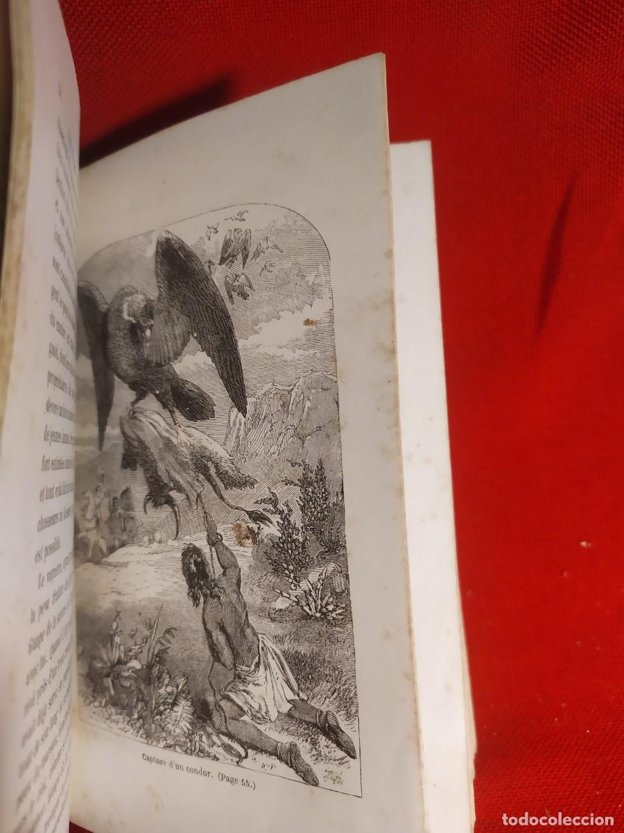 Libros antiguos: 1865. Obras de Mayne Reid. Grabados. - Foto 12