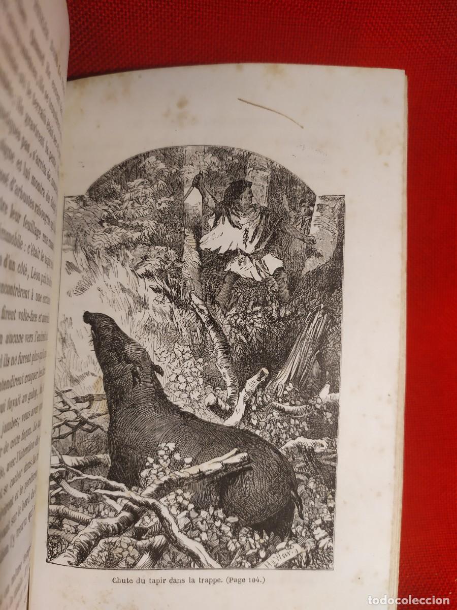 Libros antiguos: 1865. Obras de Mayne Reid. Grabados. - Foto 13