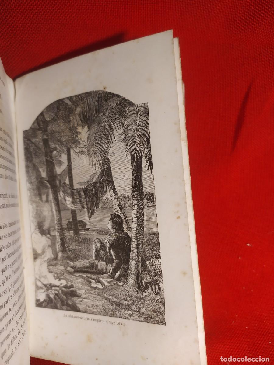 Libros antiguos: 1865. Obras de Mayne Reid. Grabados. - Foto 14