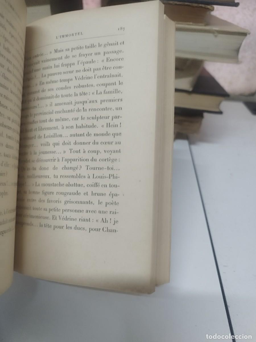 Libros antiguos: 1888. LImmortel - Alphonse Daudet. En franc&eacute;s. - Foto 4