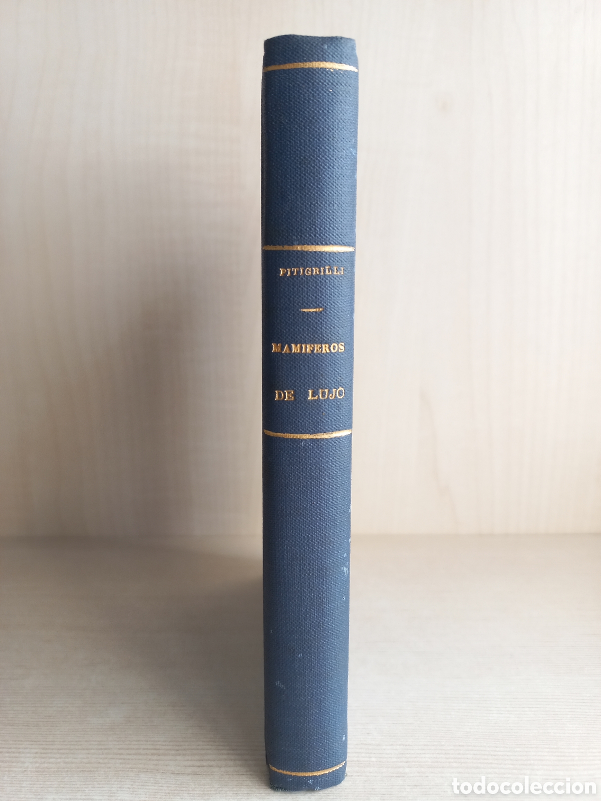 Libros antiguos: Mam&iacute;feros de lujo. Pitigrilli. Editorial Bauz&aacute;, 1927. - Foto 1