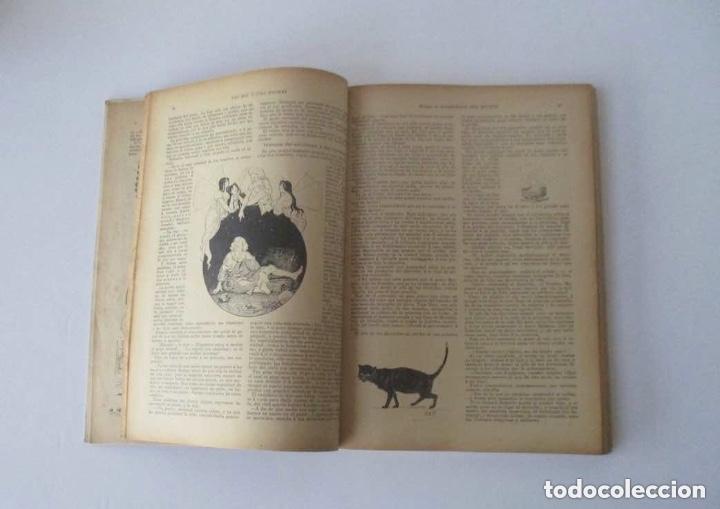 Libros antiguos: CUENTOS DE LAS MIL Y UNA NOCHE - A&Ntilde;O 1903 - Foto 3