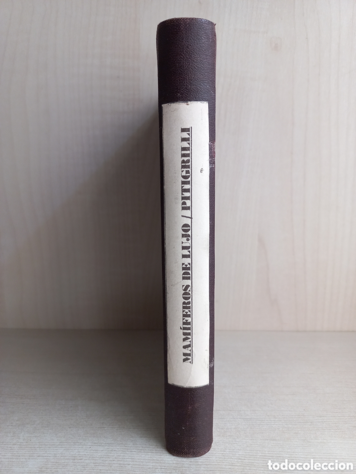 Libros antiguos: Mam&iacute;feros de lujo. Pitigrilli. Editorial Bauz&aacute;. - Foto 1