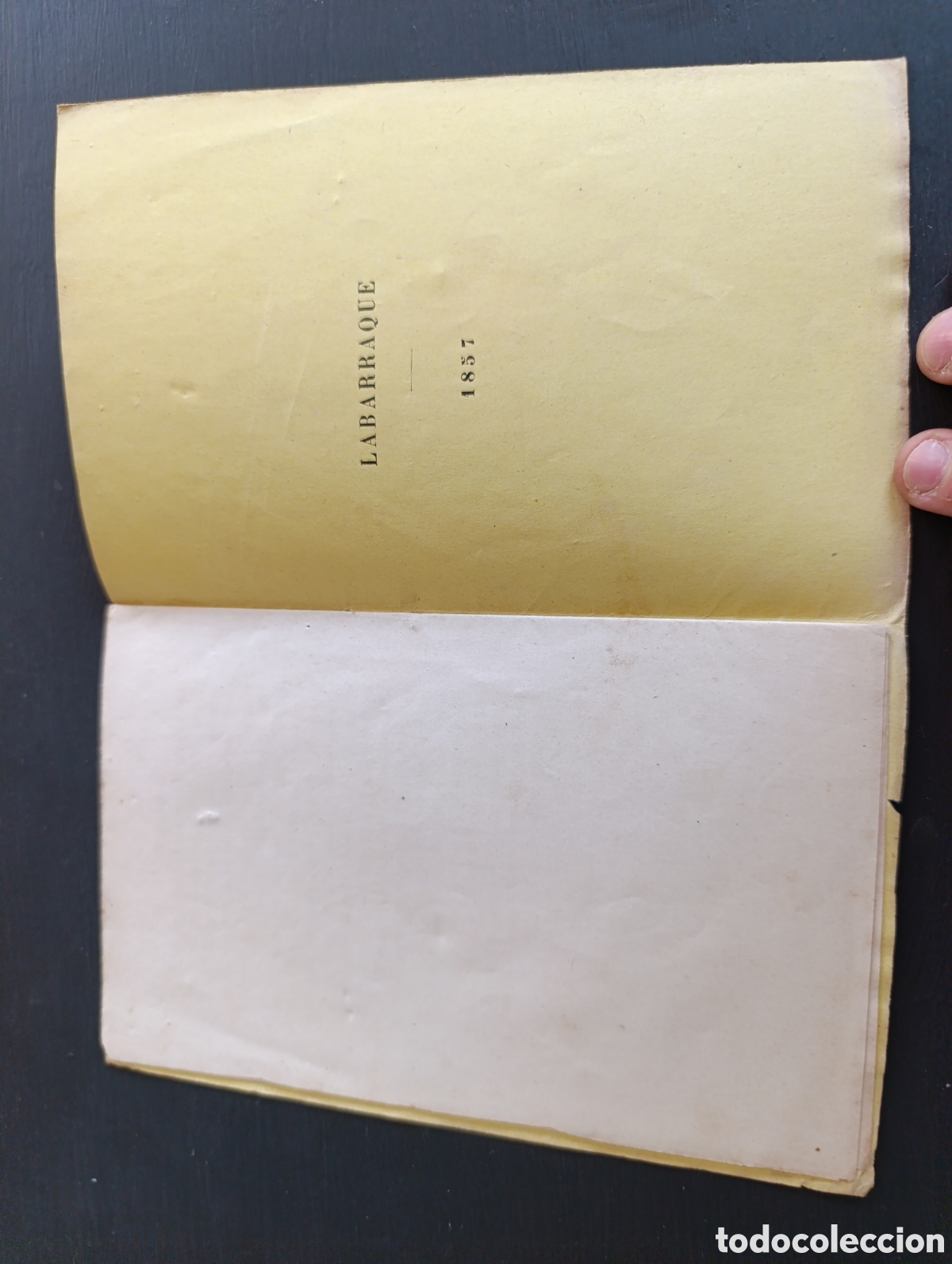 Libros antiguos: LABARRAQUE PAR PAUL-ANTOINE CAP 1857 - Foto 3