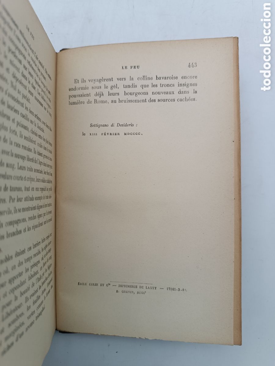 Libros antiguos: Le feu par Gabriele dAnnunzio 1900 - Foto 6