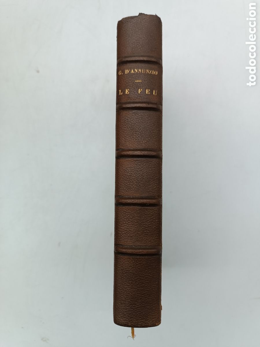 Libros antiguos: Le feu par Gabriele dAnnunzio 1900 - Foto 1