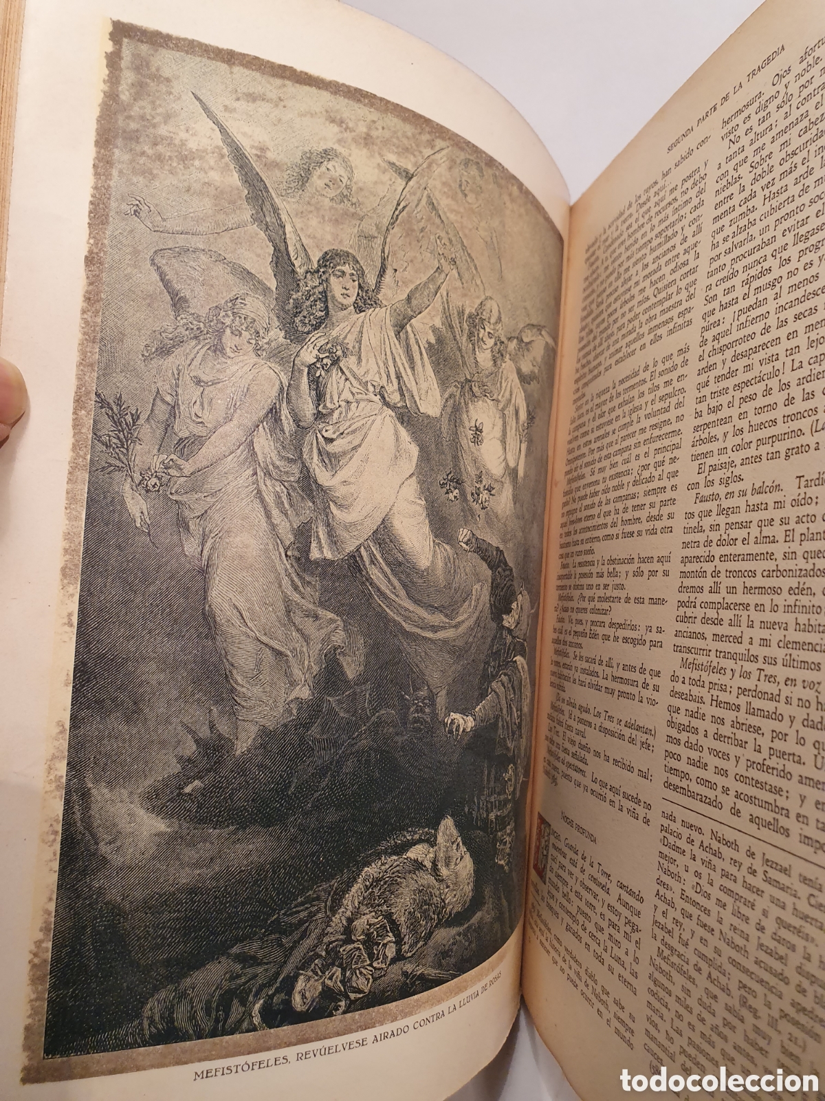 Libros antiguos: J.W. GOETHE. FAUSTO. EDICIONES IBERIA. - Foto 5