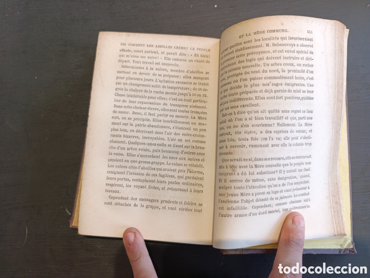 Libros antiguos: LINSECTE PAR J. MICHELET. Paris 1867 - Foto 3