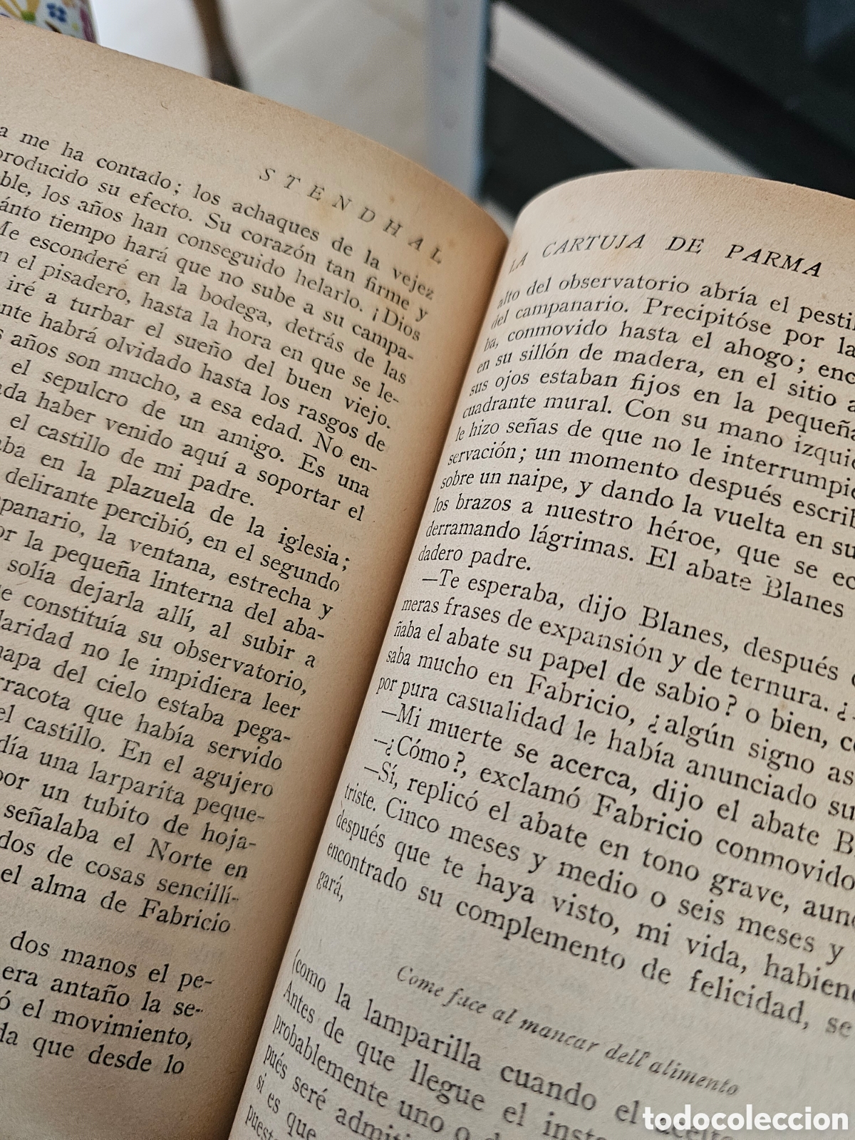 Libros antiguos: Stendhal, La cartuja de Parma, 2 tomos - Foto 9