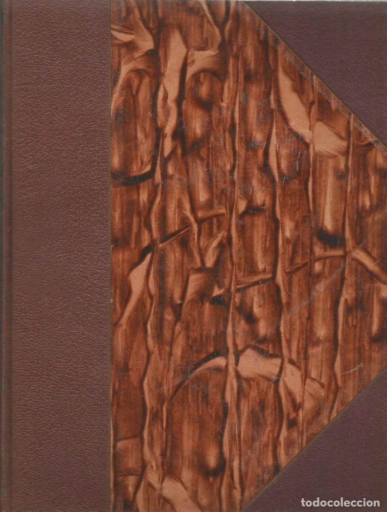 Libros antiguos: LOS LUSIADAS - CAMOENS - EDICIONES IBERIA - 1932 - Foto 5