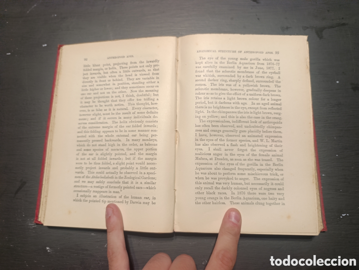 Libros antiguos: ANTHROPOID APES BY ROBERT HARTMANN. London 1904 - Foto 2