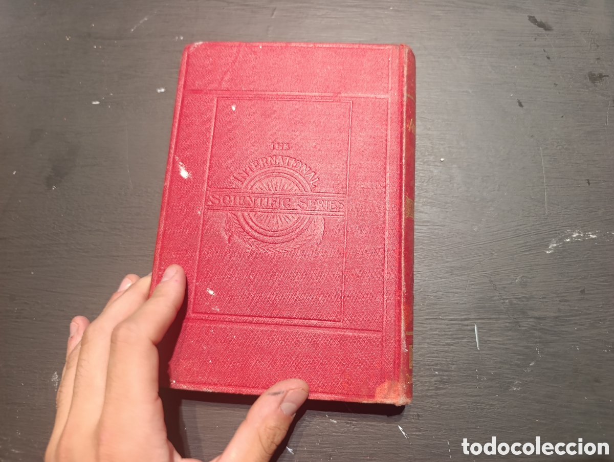 Libros antiguos: ANTHROPOID APES BY ROBERT HARTMANN. London 1904 - Foto 5