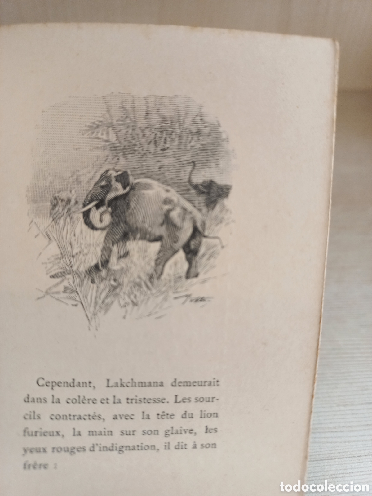 Libros antiguos: Lexil de Rama. Valmiki. Dentu, 1893. - Foto 6