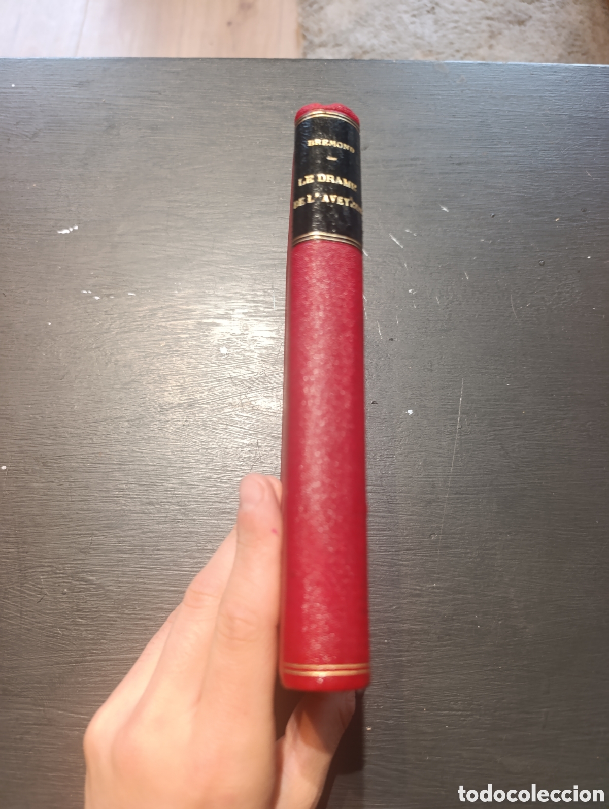 Libros antiguos: LE DRAME DE LAVEYRON PAR JACQUES BR&Eacute;MOND - Foto 4