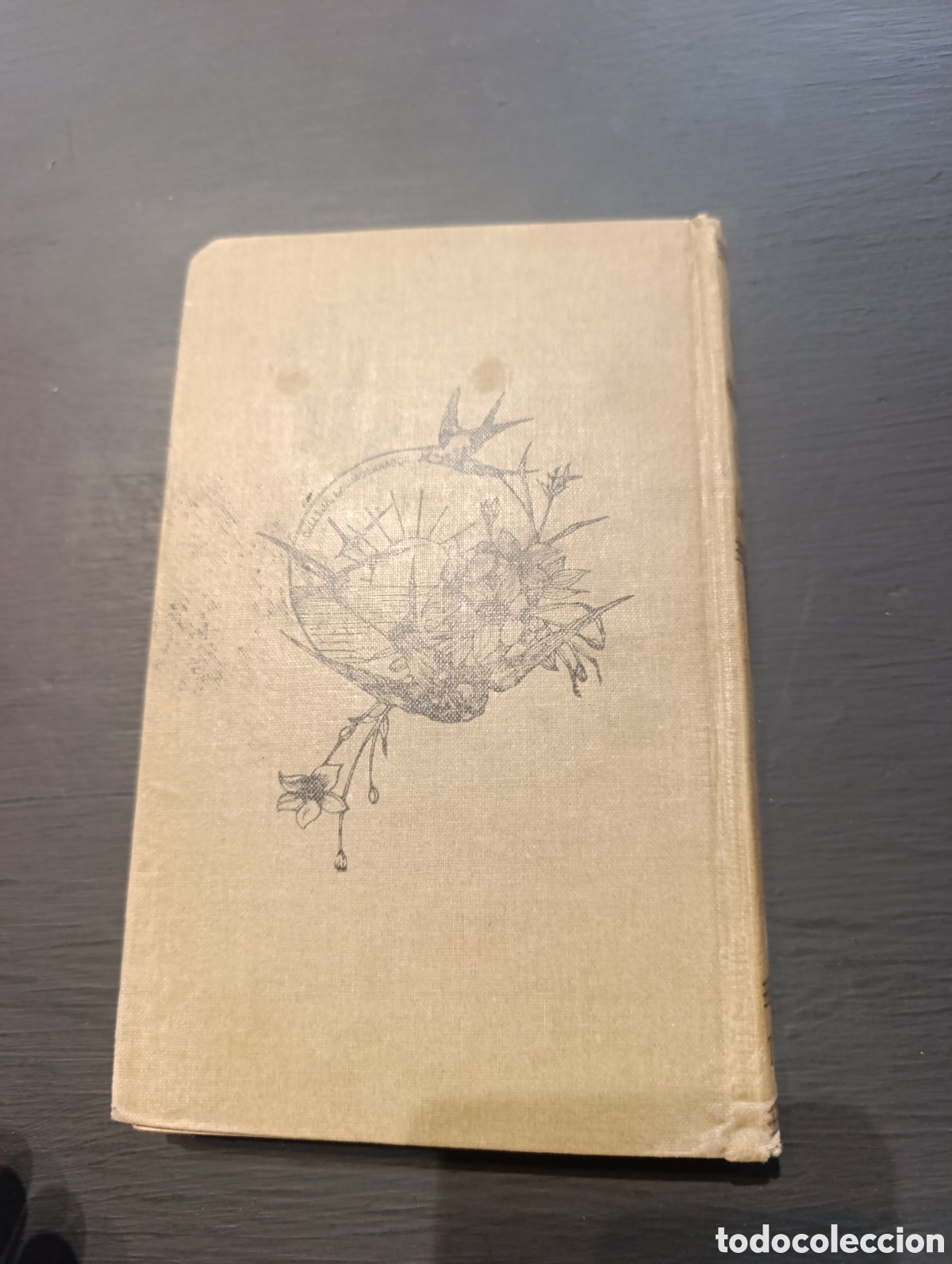 Libros antiguos: Manzoni Los Novios. 1920 - Foto 3