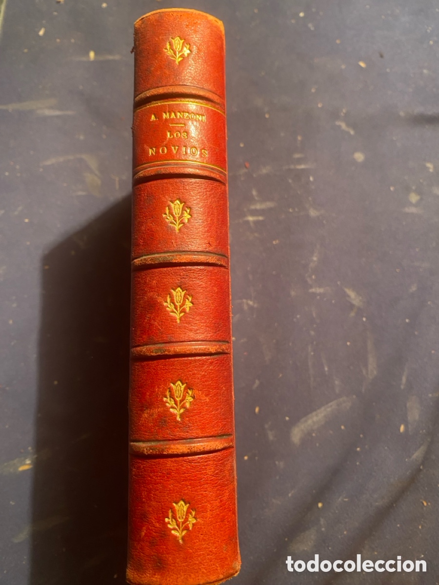 Libros antiguos: ALEJANDRO MANZONI: - LOS NOVIOS. HISTORIA MILANESA DEL SIGLO XVI - (BARCELONA, 1878)