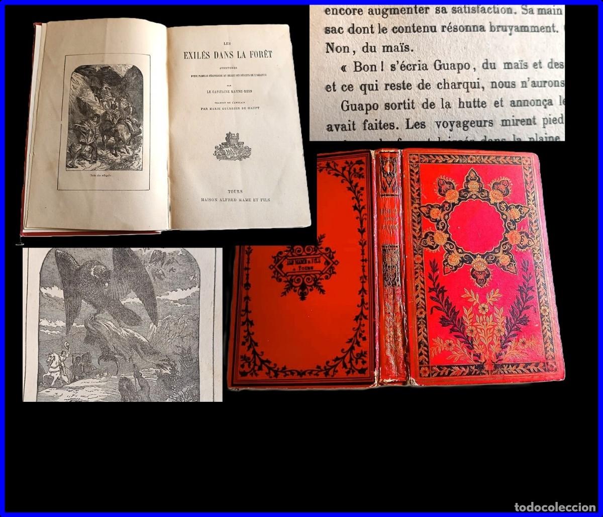 Libros antiguos: Los exiliados en el bosque. Libro antiguo ilustrado. 25 cm. Preciosa encuadernaci&oacute;n.
