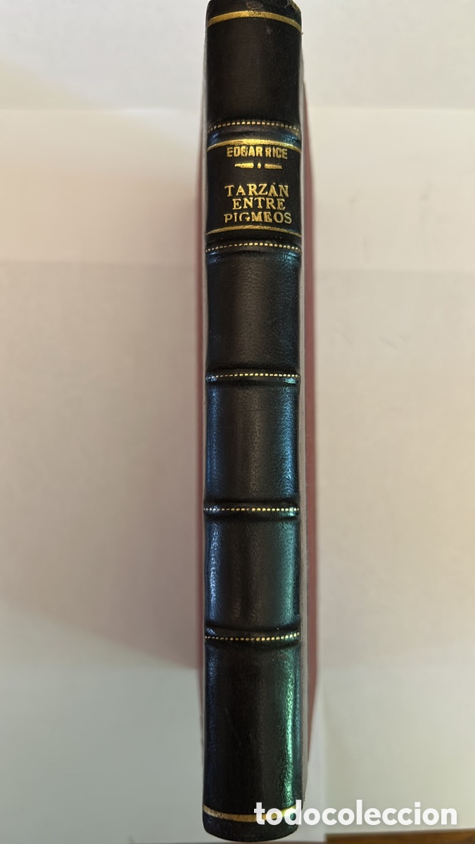 Libros antiguos: TARZ&Aacute;N ENTRE PIGMEOS &ndash; Edgar Rice Burroughs &ndash; Gustavo Gili &ndash; Segunda edici&oacute;n antigua