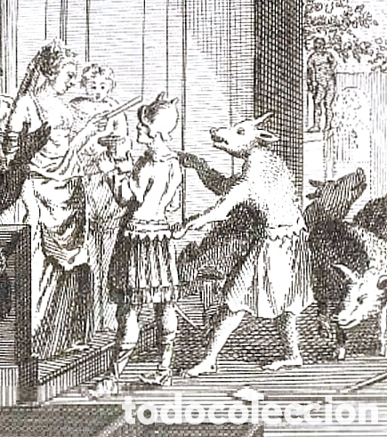 Libros antiguos: A&ntilde;o 1788 Aquiles Ulises Cinoc&eacute;falo Las Metamorfosis de Ovidio Grabados Antigua Roma Mitolog&iacute;a