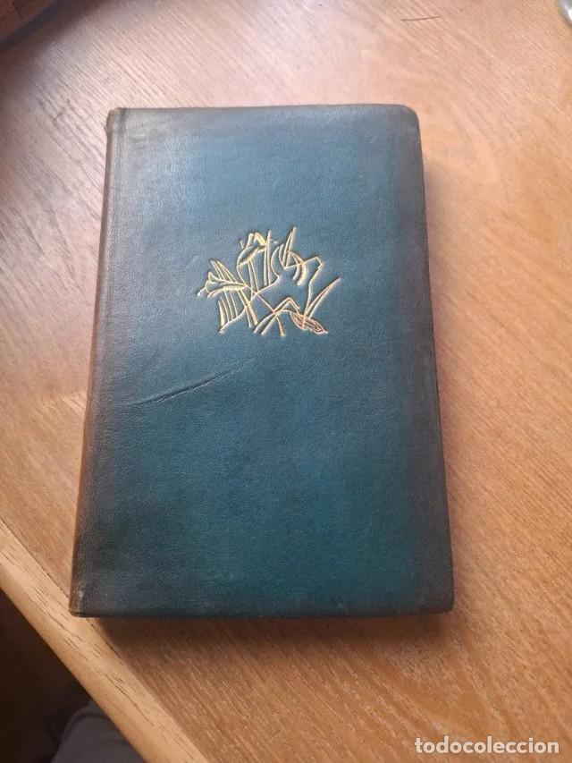 Libros antiguos: Libro: Cantar de cantares, de Fray Luis de L&eacute;on - Foto 1