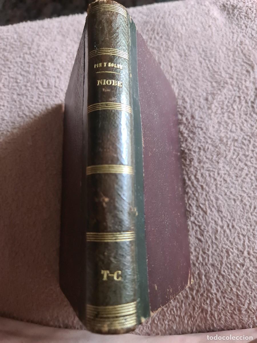 Libros antiguos: Josep Pin i Soler, 1889. N&iacute;obe. 1a edici&oacute;n. Dedicado a Timoteu Capella i Gass&oacute;.