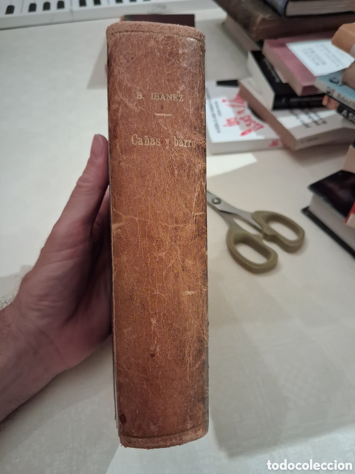 Libros antiguos: Ca&ntilde;as y barro / Arroz y tartana,Vicente Blasco Ib&aacute;&ntilde;ez
