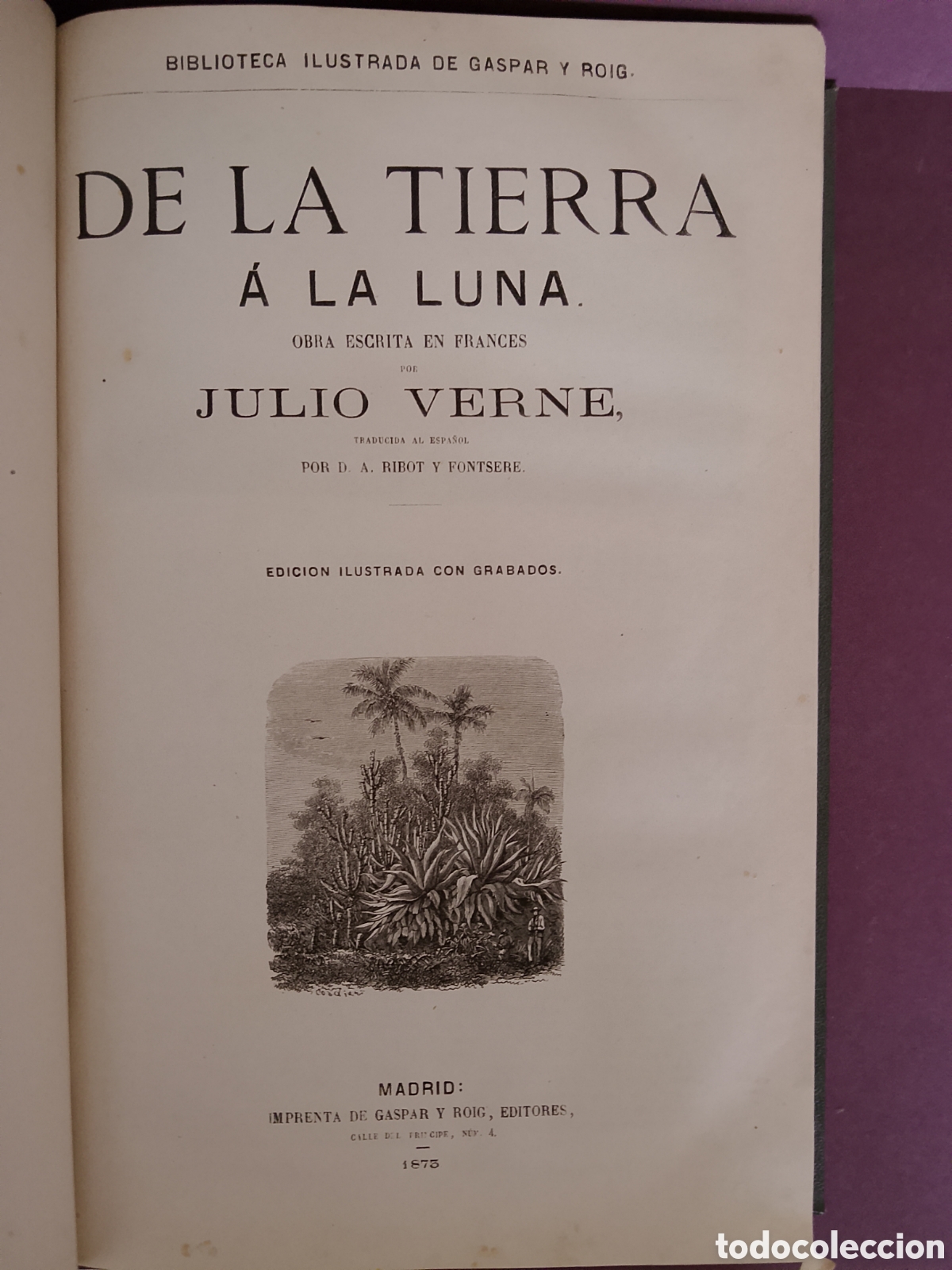 Libros antiguos: Obras de Julio Verne-1&ordf;edicion espa&ntilde;ola ilustrada- Gaspar y Roig-1873a 1875-con muchos grabados