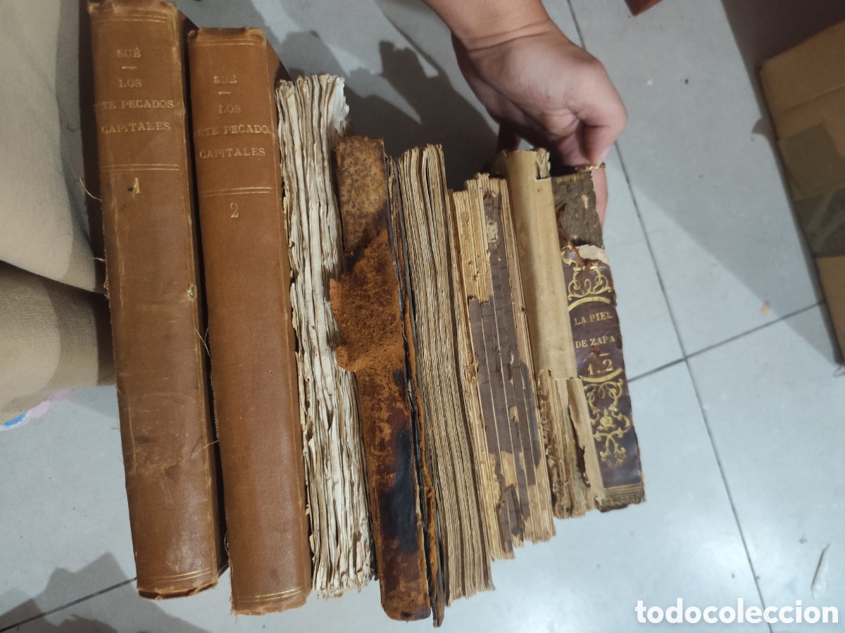 Libros antiguos: Lote 6 Libros Antiguos de Gran Colecci&oacute;n (Siglo XIX - Rarezas)