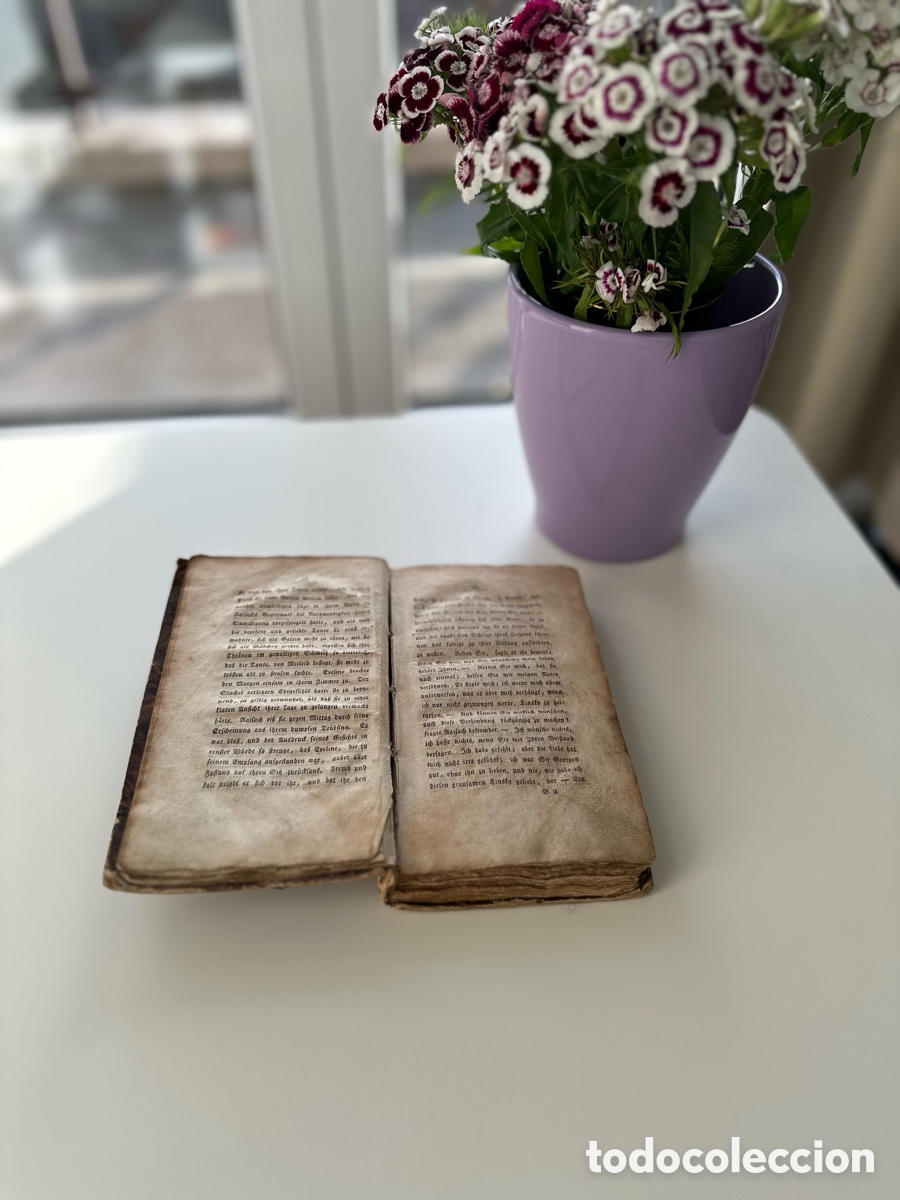 Livros antigos: Fanny Tarnow Erz&auml;hlungen Leipzig 1820 libro antiguo alem&aacute;n