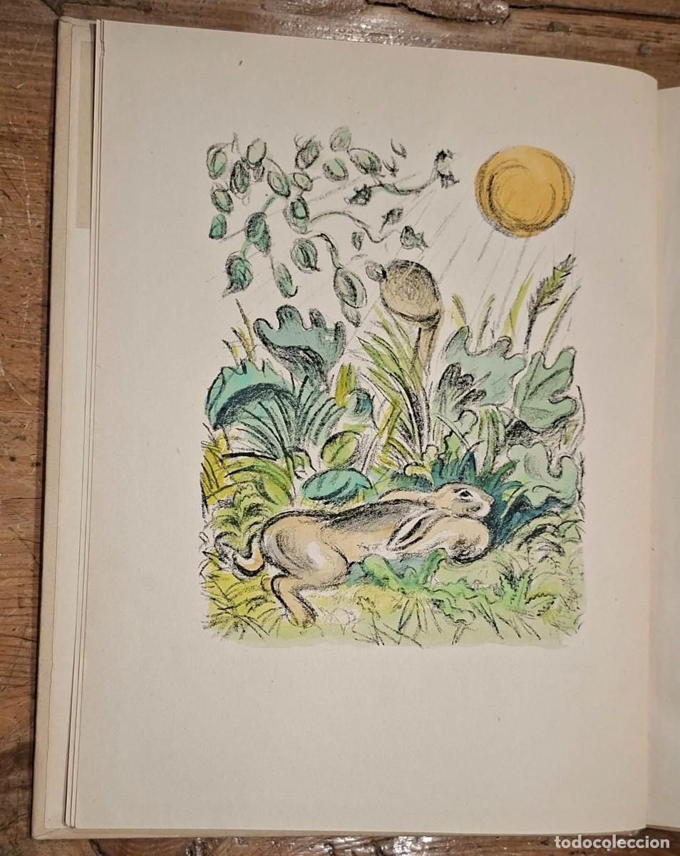 Libros antiguos: JAMMES, FRANCIS: DER HASENROMAN - Foto 2