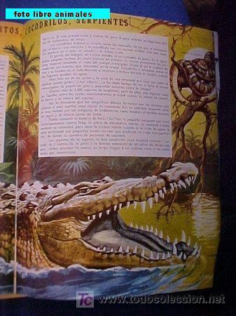Libros antiguos: el libro de los animales - Foto 1