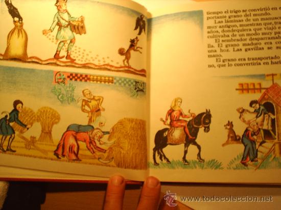 Libros antiguos: EL LIBRO DE LAS COSAS QUE COMEMOS EDIT. JUVENTUD -----1959--- - Foto 4