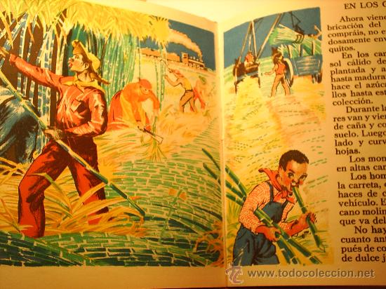 Libros antiguos: EL LIBRO DE LAS COSAS QUE COMEMOS EDIT. JUVENTUD -----1959--- - Foto 6