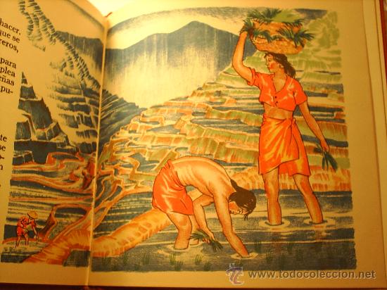 Libros antiguos: EL LIBRO DE LAS COSAS QUE COMEMOS EDIT. JUVENTUD -----1959--- - Foto 8