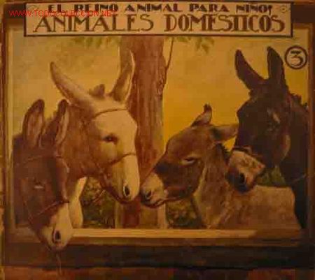 Libros antiguos: ANIMALES DOMESTICOS, 3 - Foto 1
